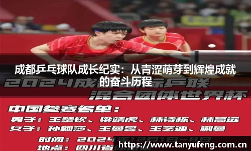 成都乒乓球队成长纪实：从青涩萌芽到辉煌成就的奋斗历程