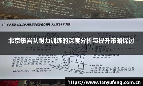北京攀岩队耐力训练的深度分析与提升策略探讨