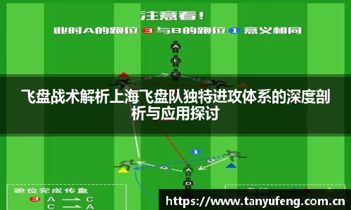飞盘战术解析上海飞盘队独特进攻体系的深度剖析与应用探讨